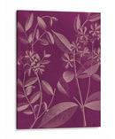 Botánica Moderna Iii - Vision Studio | Cuadro decorativo de Canvas Lab