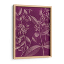 Botánica Moderna Iii - Vision Studio | Cuadro decorativo de Canvas Lab