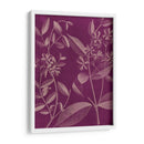 Botánica Moderna Iii - Vision Studio | Cuadro decorativo de Canvas Lab