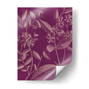 Botánica Moderna Iii - Vision Studio | Cuadro decorativo de Canvas Lab