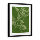 Botánica Moderna Iv - Vision Studio | Cuadro decorativo de Canvas Lab