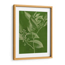 Botánica Moderna Iv - Vision Studio | Cuadro decorativo de Canvas Lab