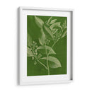 Botánica Moderna Iv - Vision Studio | Cuadro decorativo de Canvas Lab