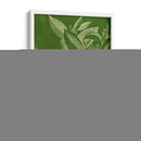 Botánica Moderna Iv - Vision Studio | Cuadro decorativo de Canvas Lab