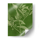 Botánica Moderna Iv - Vision Studio | Cuadro decorativo de Canvas Lab