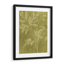 Botánica Moderna V - Vision Studio | Cuadro decorativo de Canvas Lab