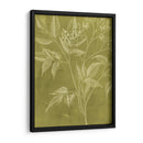 Botánica Moderna V - Vision Studio | Cuadro decorativo de Canvas Lab