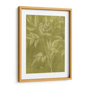 Botánica Moderna V - Vision Studio | Cuadro decorativo de Canvas Lab