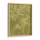 Botánica Moderna V - Vision Studio | Cuadro decorativo de Canvas Lab