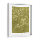 Botánica Moderna V - Vision Studio | Cuadro decorativo de Canvas Lab