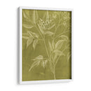 Botánica Moderna V - Vision Studio | Cuadro decorativo de Canvas Lab