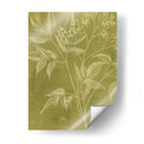 Botánica Moderna V - Vision Studio | Cuadro decorativo de Canvas Lab