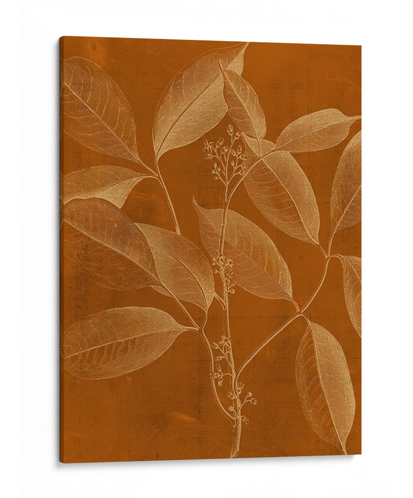 Botánica Moderna Vi - Vision Studio | Cuadro decorativo de Canvas Lab