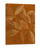 Botánica Moderna Vi - Vision Studio | Cuadro decorativo de Canvas Lab