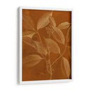 Botánica Moderna Vi - Vision Studio | Cuadro decorativo de Canvas Lab