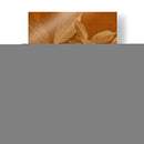 Botánica Moderna Vi - Vision Studio | Cuadro decorativo de Canvas Lab