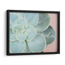 Suculento Brillo Iv - Jason Johnson | Cuadro decorativo de Canvas Lab