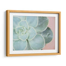 Suculento Brillo Iv - Jason Johnson | Cuadro decorativo de Canvas Lab