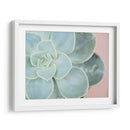 Suculento Brillo Iv - Jason Johnson | Cuadro decorativo de Canvas Lab