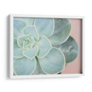 Suculento Brillo Iv - Jason Johnson | Cuadro decorativo de Canvas Lab