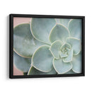 Suculento Brillo Iii - Jason Johnson | Cuadro decorativo de Canvas Lab