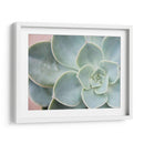 Suculento Brillo Iii - Jason Johnson | Cuadro decorativo de Canvas Lab