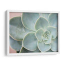 Suculento Brillo Iii - Jason Johnson | Cuadro decorativo de Canvas Lab