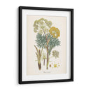 Saffron Botanicals I | Cuadro decorativo de Canvas Lab