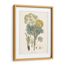 Saffron Botanicals I | Cuadro decorativo de Canvas Lab