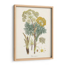 Saffron Botanicals I | Cuadro decorativo de Canvas Lab