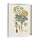 Saffron Botanicals I | Cuadro decorativo de Canvas Lab