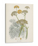 Azafrán Botanicals Ii | Cuadro decorativo de Canvas Lab