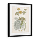 Azafrán Botanicals Ii | Cuadro decorativo de Canvas Lab