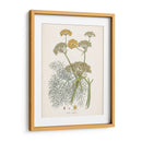 Azafrán Botanicals Ii | Cuadro decorativo de Canvas Lab