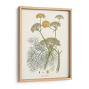 Azafrán Botanicals Ii | Cuadro decorativo de Canvas Lab