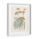 Azafrán Botanicals Ii | Cuadro decorativo de Canvas Lab