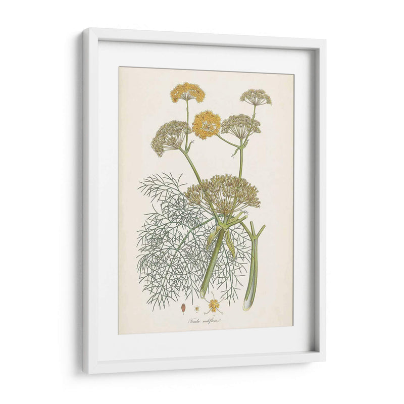 Azafrán Botanicals Ii | Cuadro decorativo de Canvas Lab