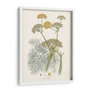 Azafrán Botanicals Ii | Cuadro decorativo de Canvas Lab