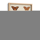 Mariposas Mostradas I - Vision Studio | Cuadro decorativo de Canvas Lab