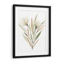 Pedículo Modesto I - Jacob Green | Cuadro decorativo de Canvas Lab