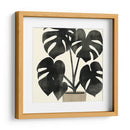 Plantando Ii - Susan Savory | Cuadro decorativo de Canvas Lab