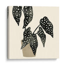 Plantando Iii - Susan Savory | Cuadro decorativo de Canvas Lab