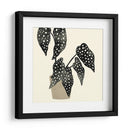 Plantando Iii - Susan Savory | Cuadro decorativo de Canvas Lab