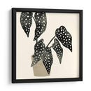 Plantando Iii - Susan Savory | Cuadro decorativo de Canvas Lab