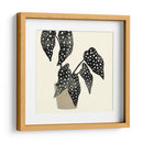 Plantando Iii - Susan Savory | Cuadro decorativo de Canvas Lab