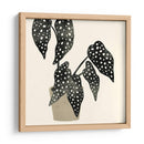 Plantando Iii - Susan Savory | Cuadro decorativo de Canvas Lab