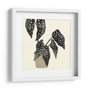 Plantando Iii - Susan Savory | Cuadro decorativo de Canvas Lab