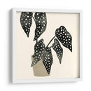 Plantando Iii - Susan Savory | Cuadro decorativo de Canvas Lab