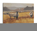 Pastando Al Atardecer I - Ethan Harper | Cuadro decorativo de Canvas Lab