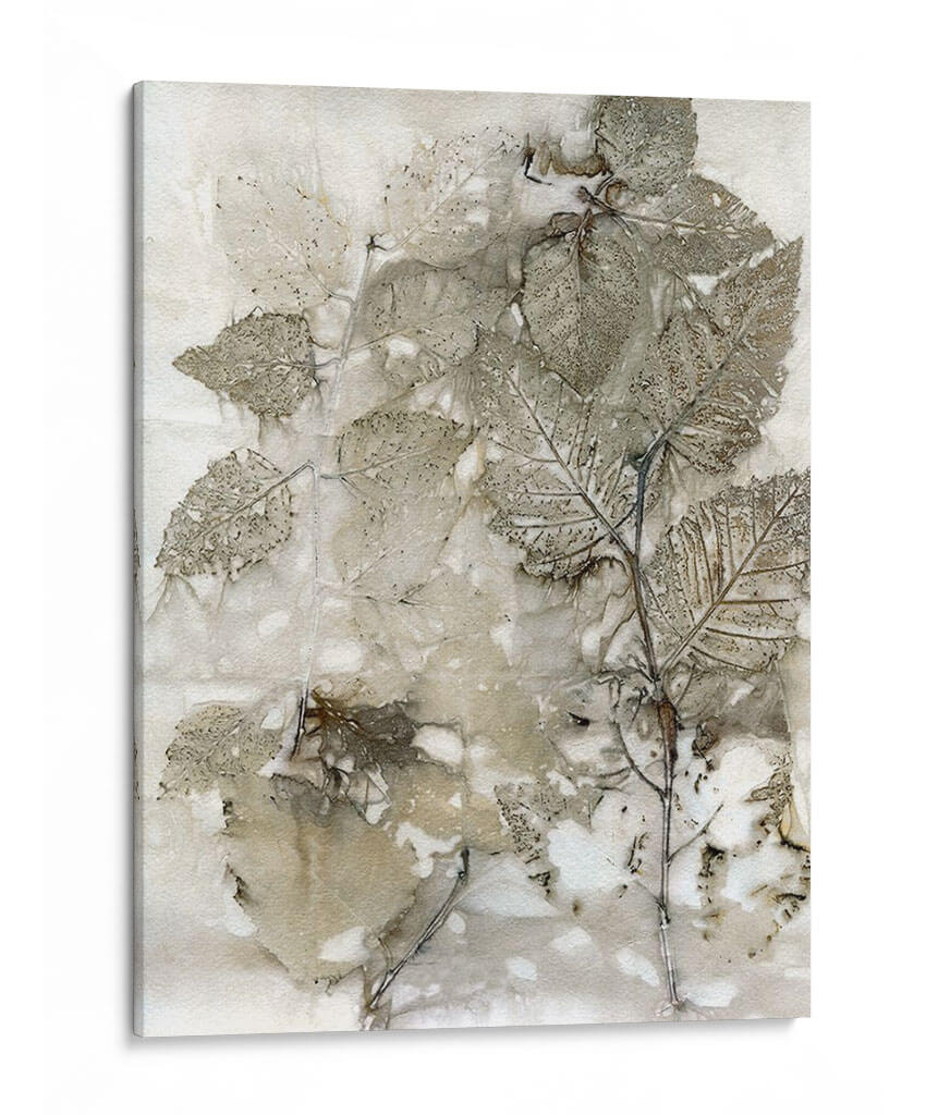 Abedul Deja - Robert Settle | Cuadro decorativo de Canvas Lab